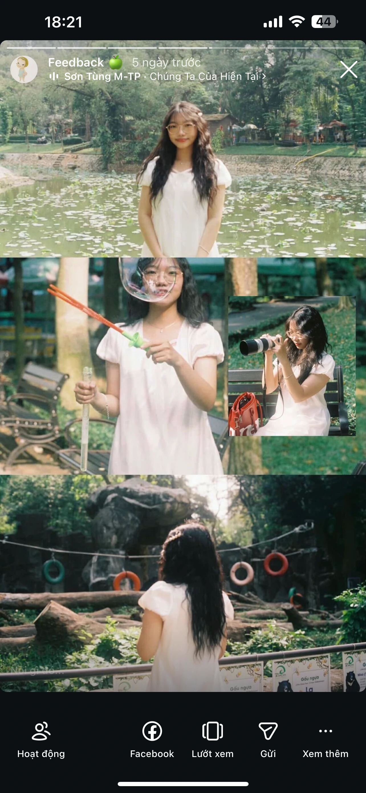 Feedback Cây Kim Nhỏ