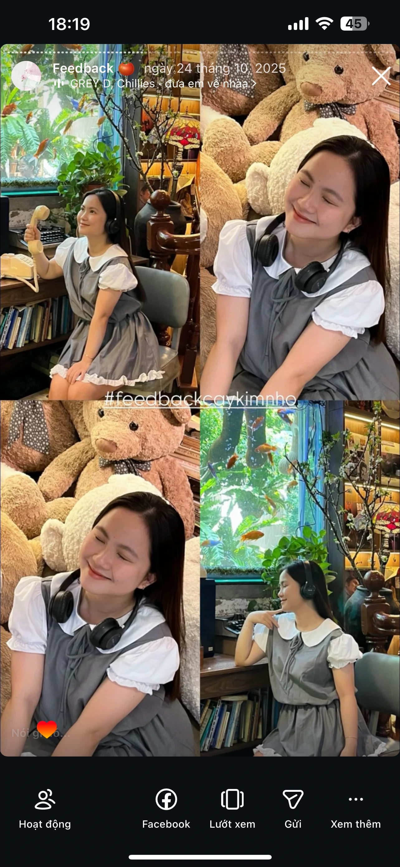 Feedback Cây Kim Nhỏ