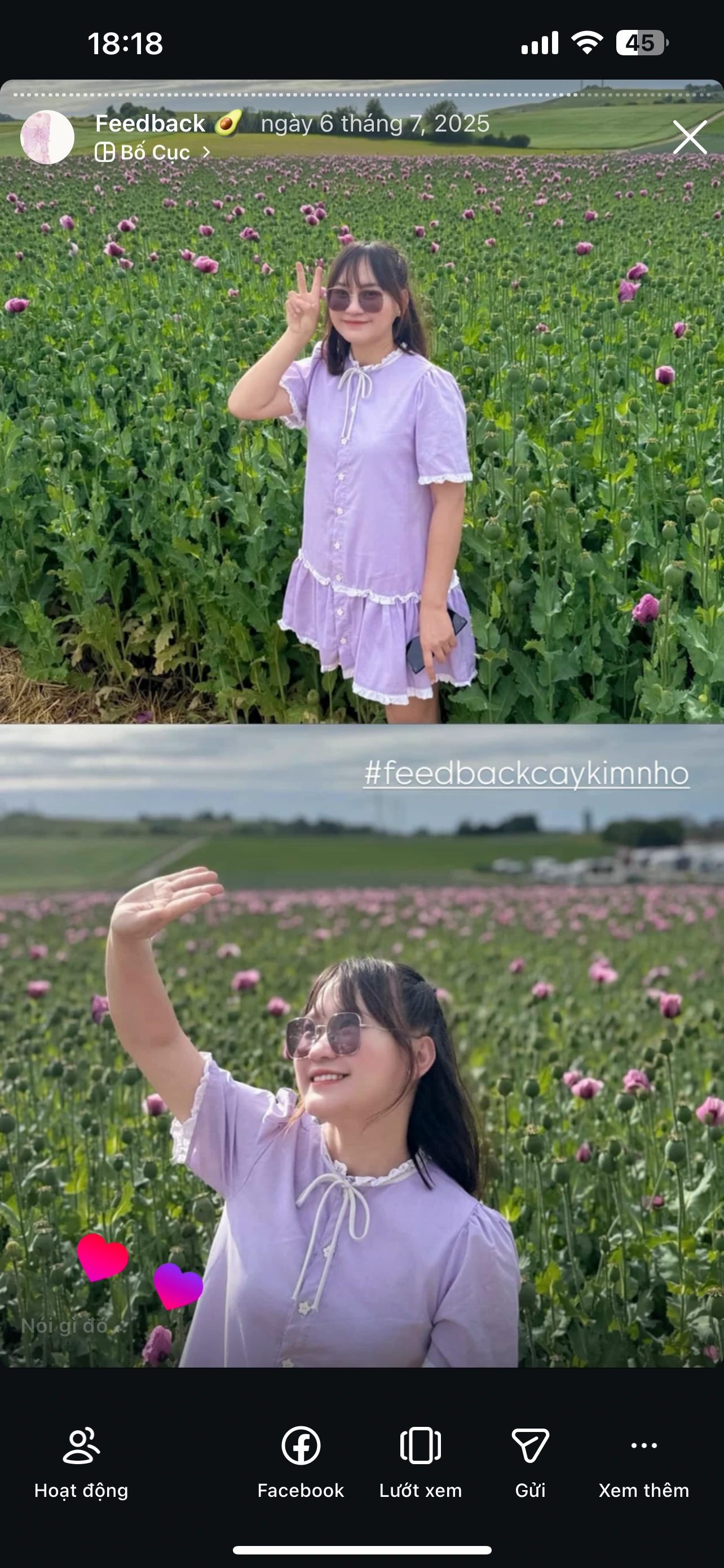 Feedback Cây Kim Nhỏ