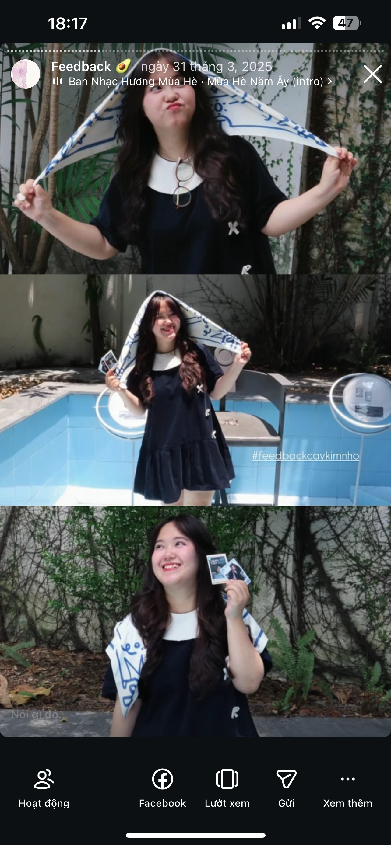 Feedback Cây Kim Nhỏ