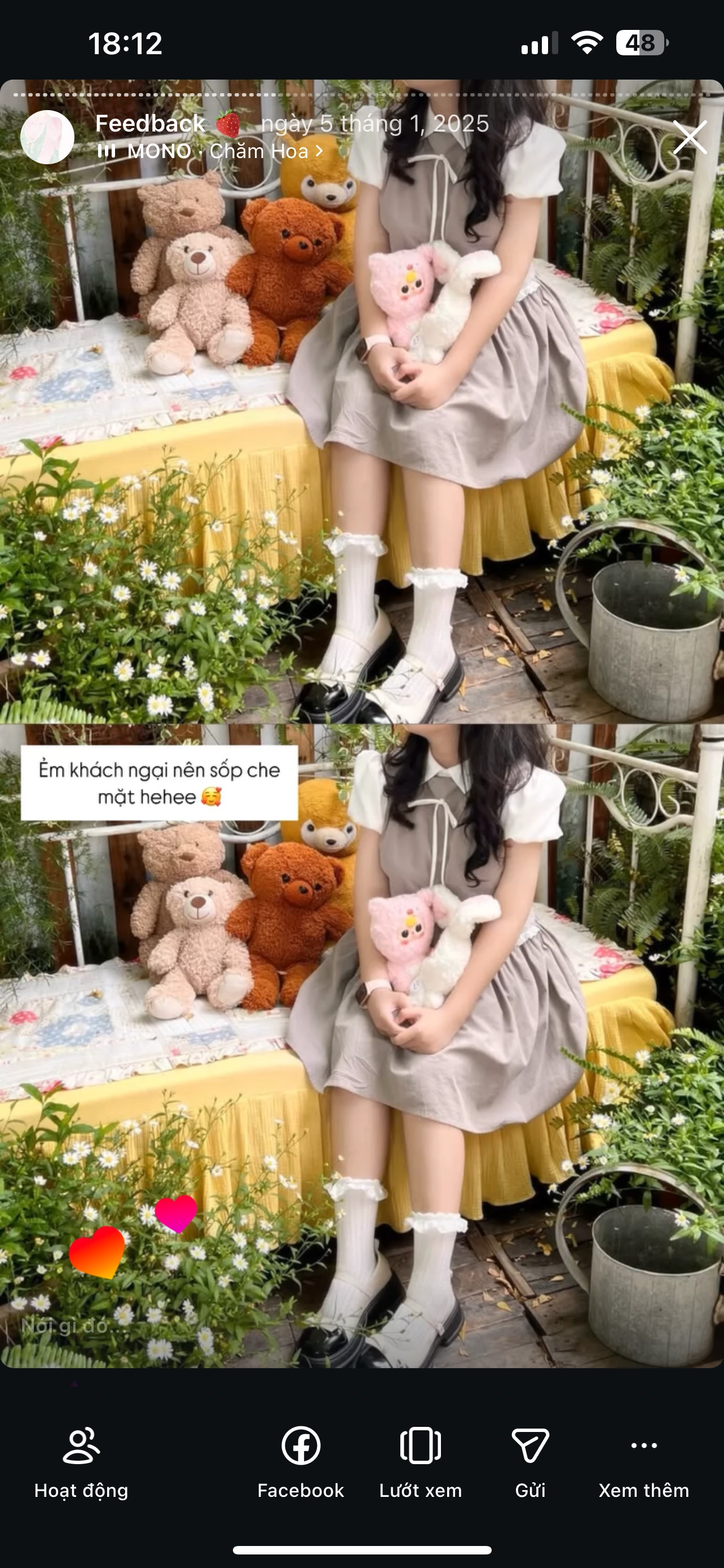 Feedback Cây Kim Nhỏ