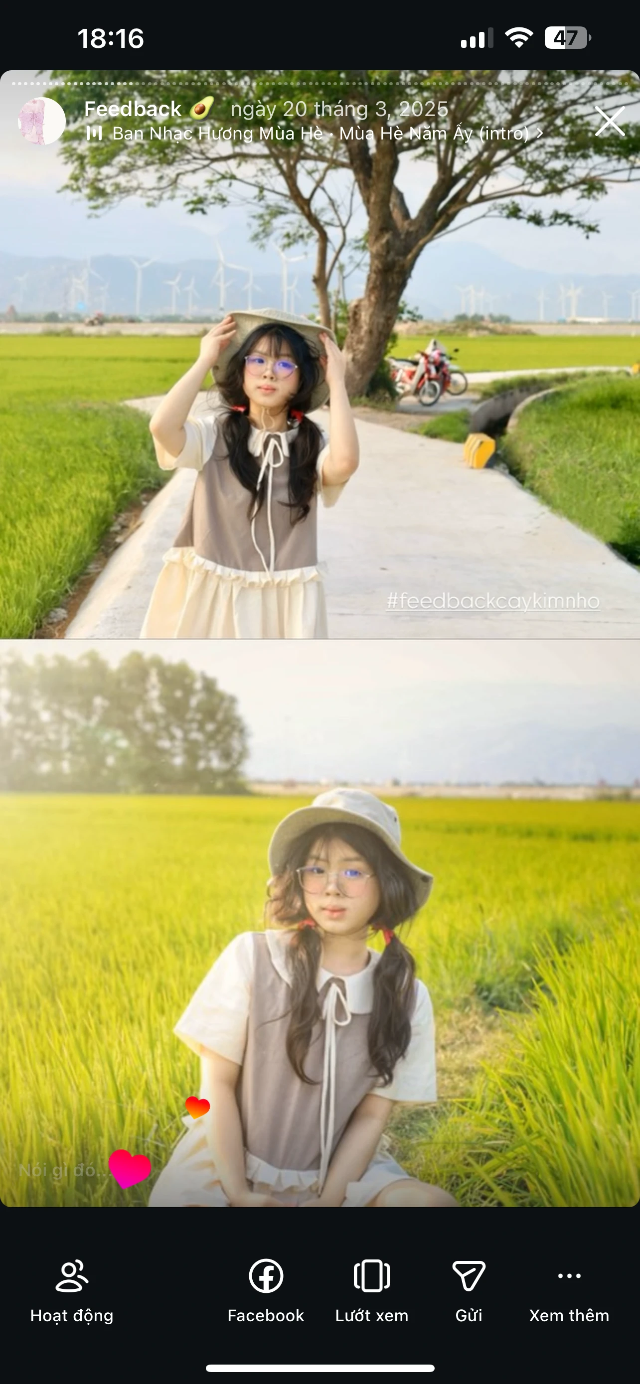 Feedback Cây Kim Nhỏ