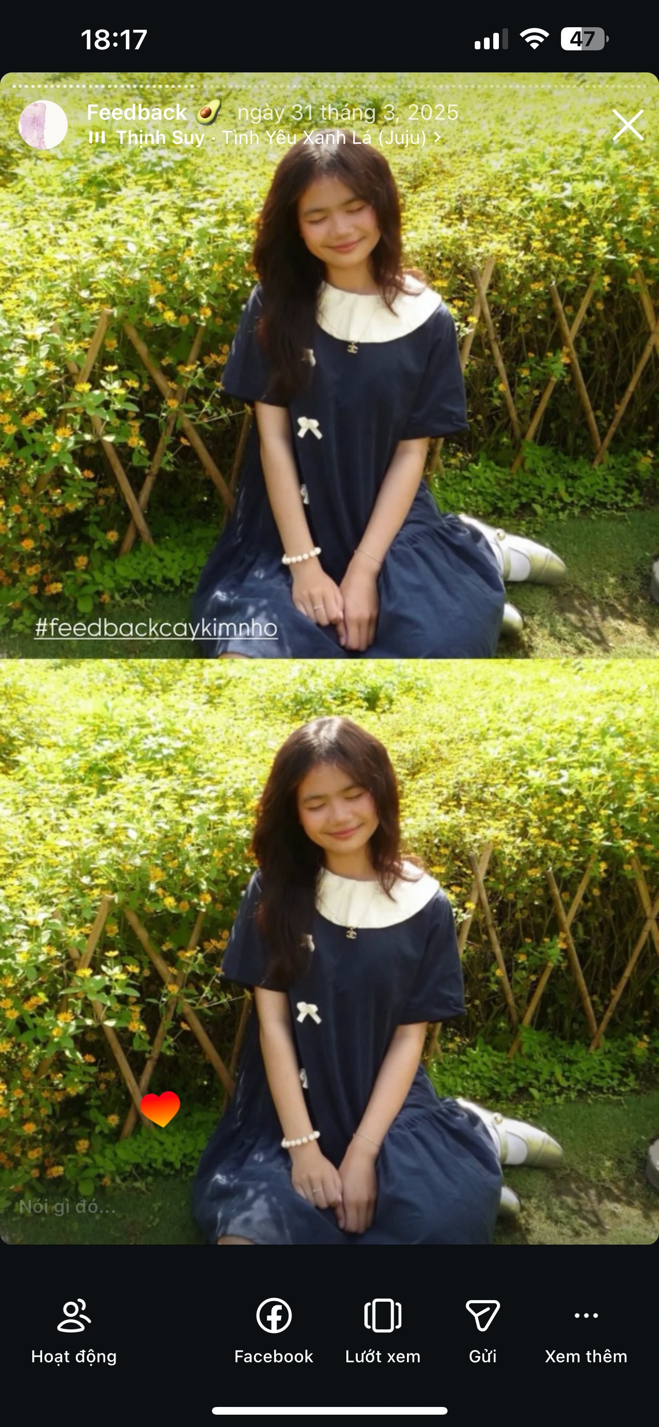 Feedback Cây Kim Nhỏ