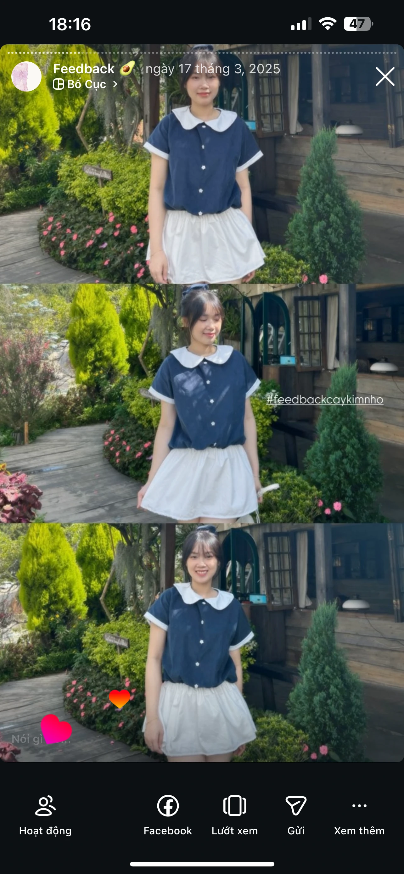 Feedback Cây Kim Nhỏ