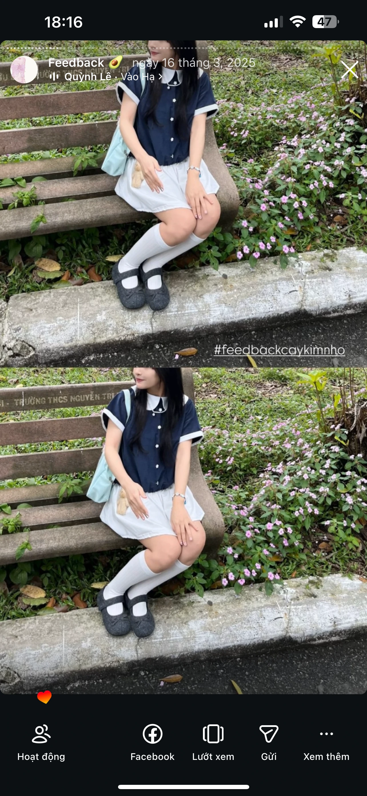 Feedback Cây Kim Nhỏ