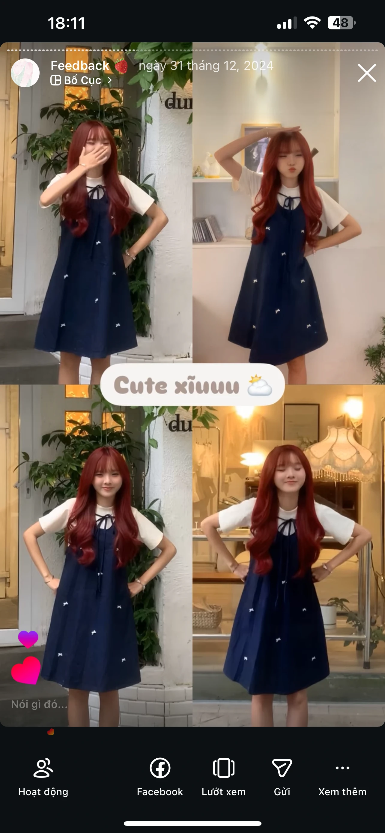 Feedback Cây Kim Nhỏ