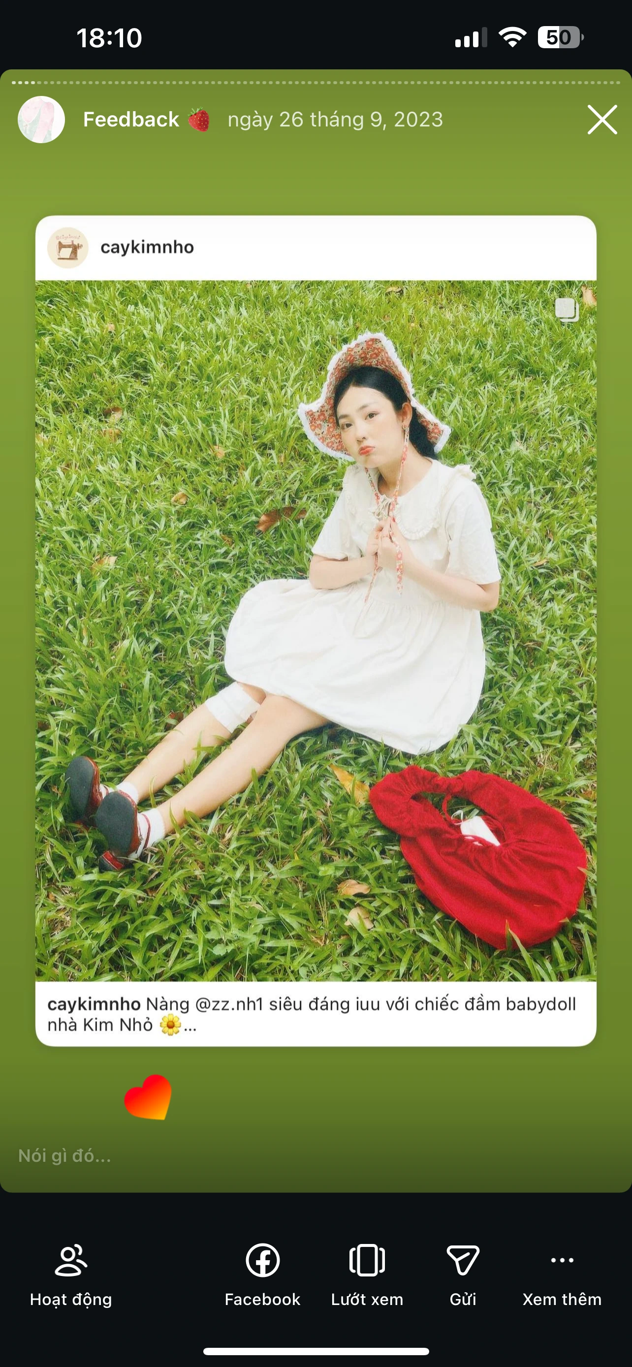 Feedback Cây Kim Nhỏ