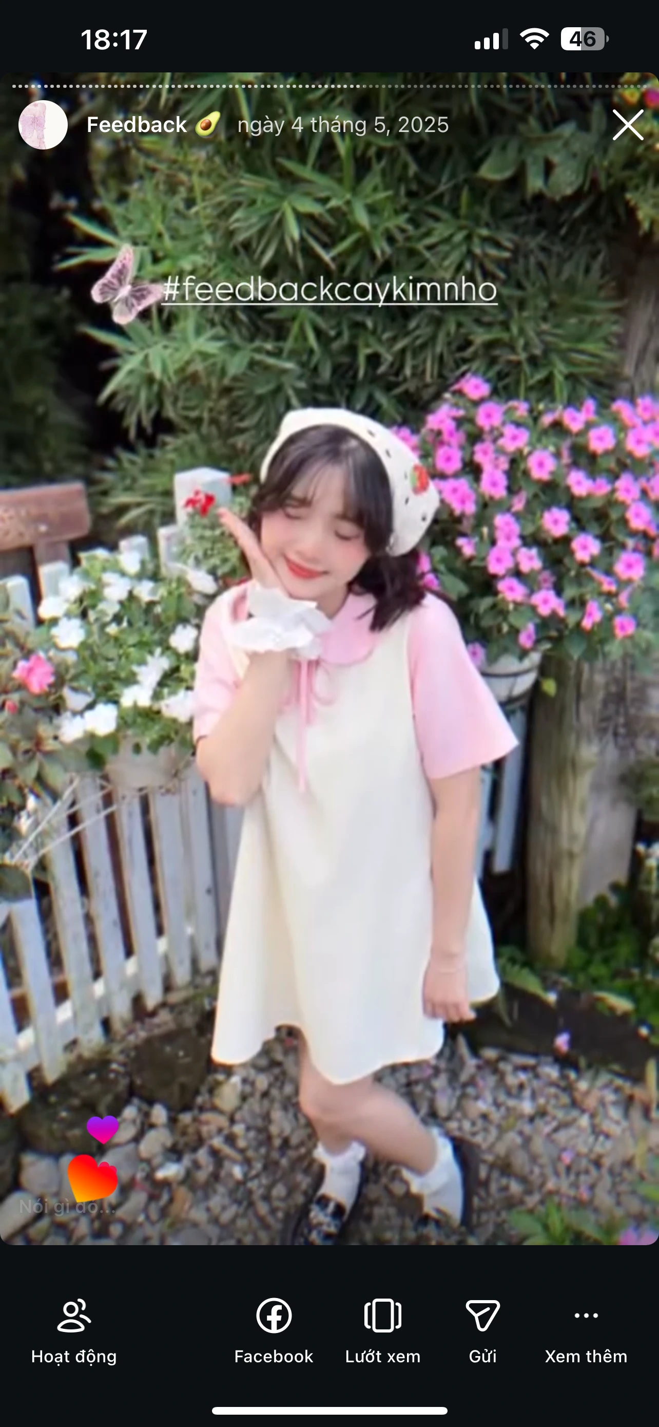 Feedback Cây Kim Nhỏ