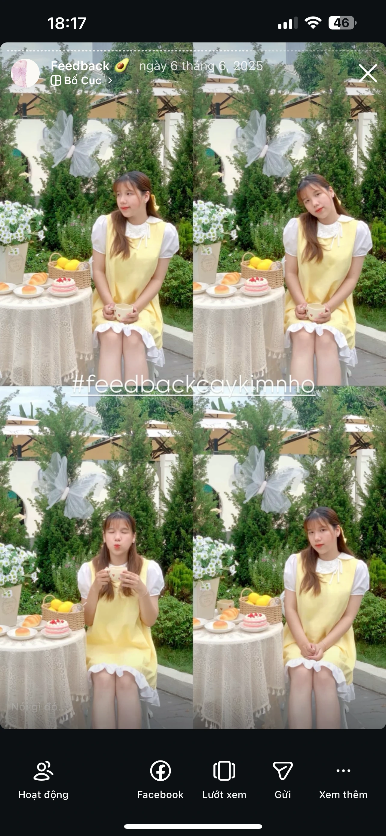 Feedback Cây Kim Nhỏ