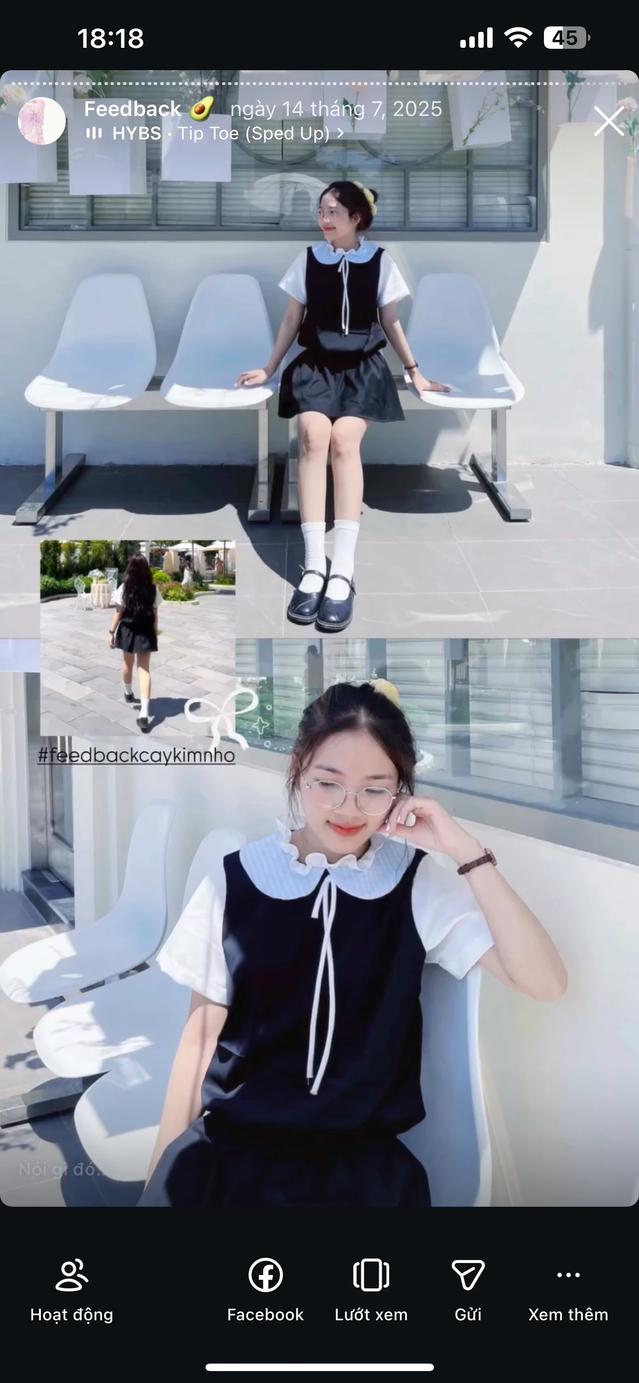 Feedback Cây Kim Nhỏ