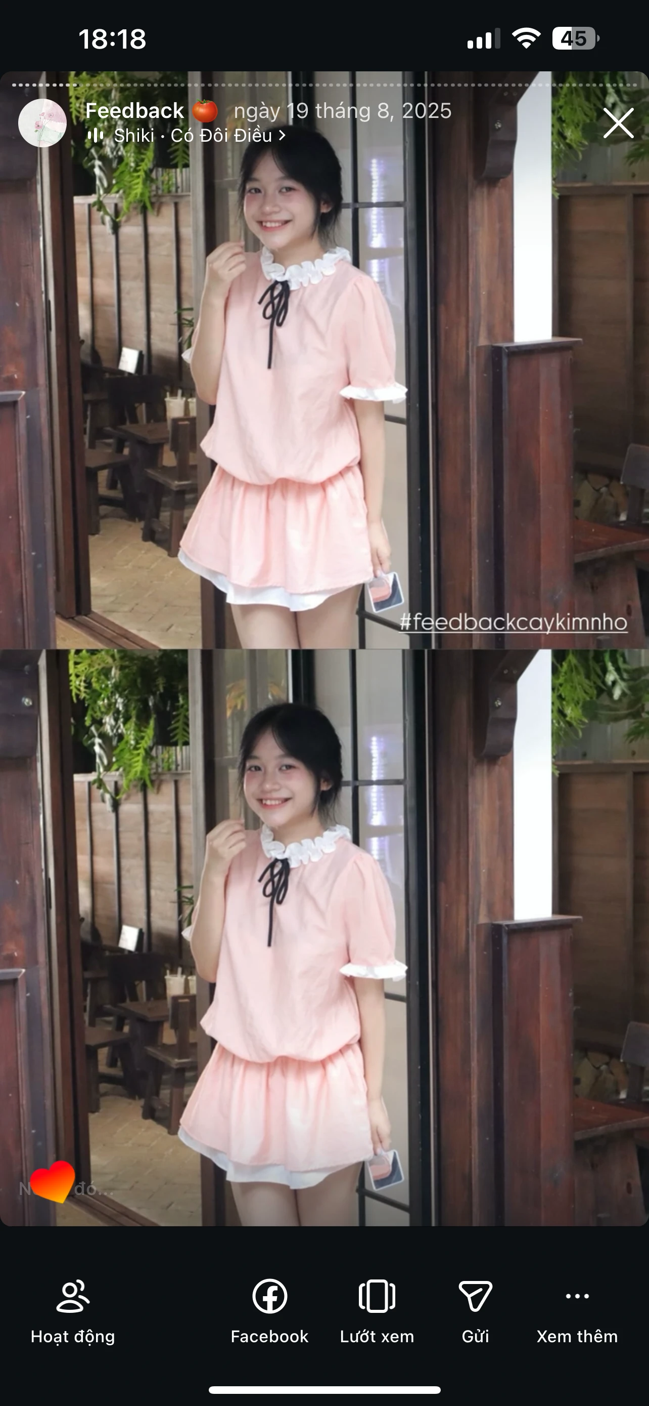 Feedback Cây Kim Nhỏ