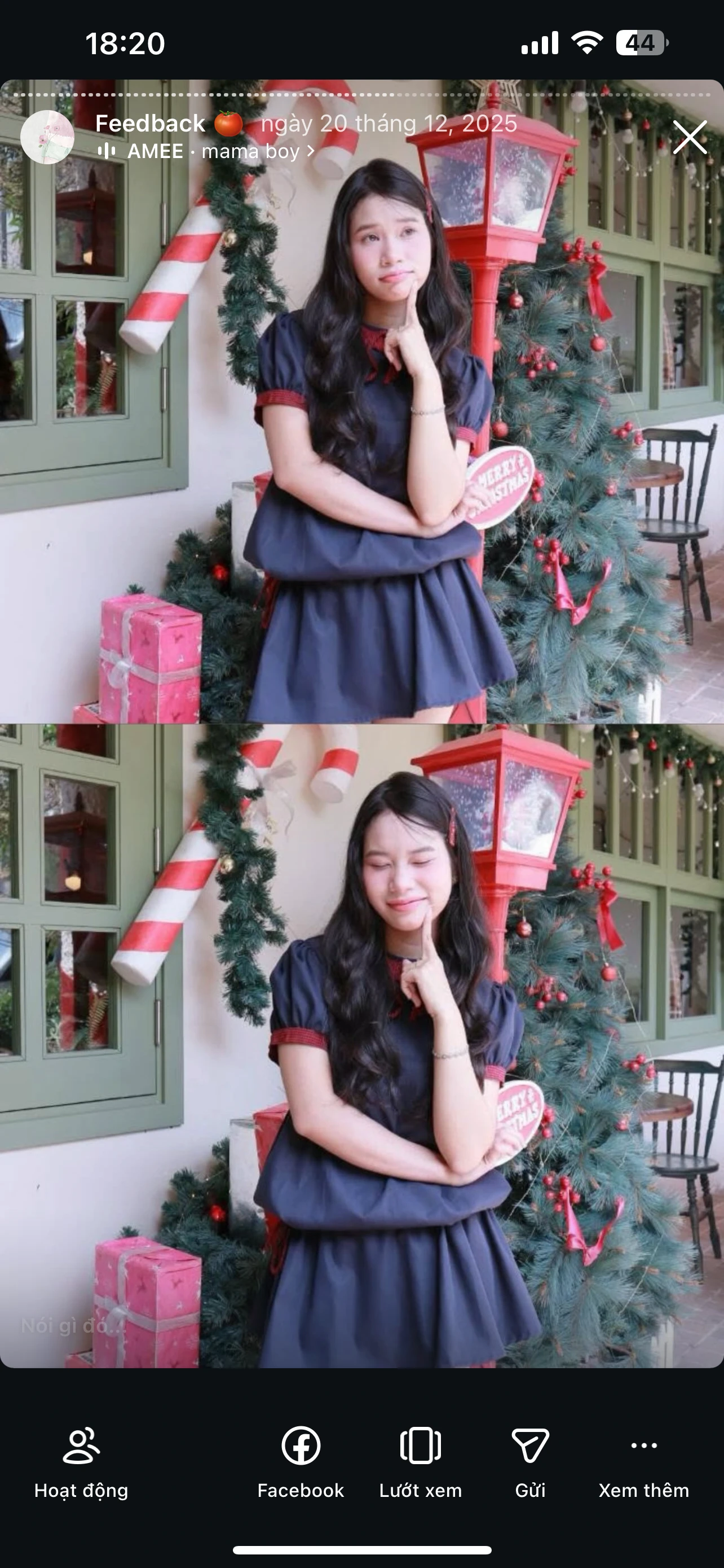 Feedback Cây Kim Nhỏ