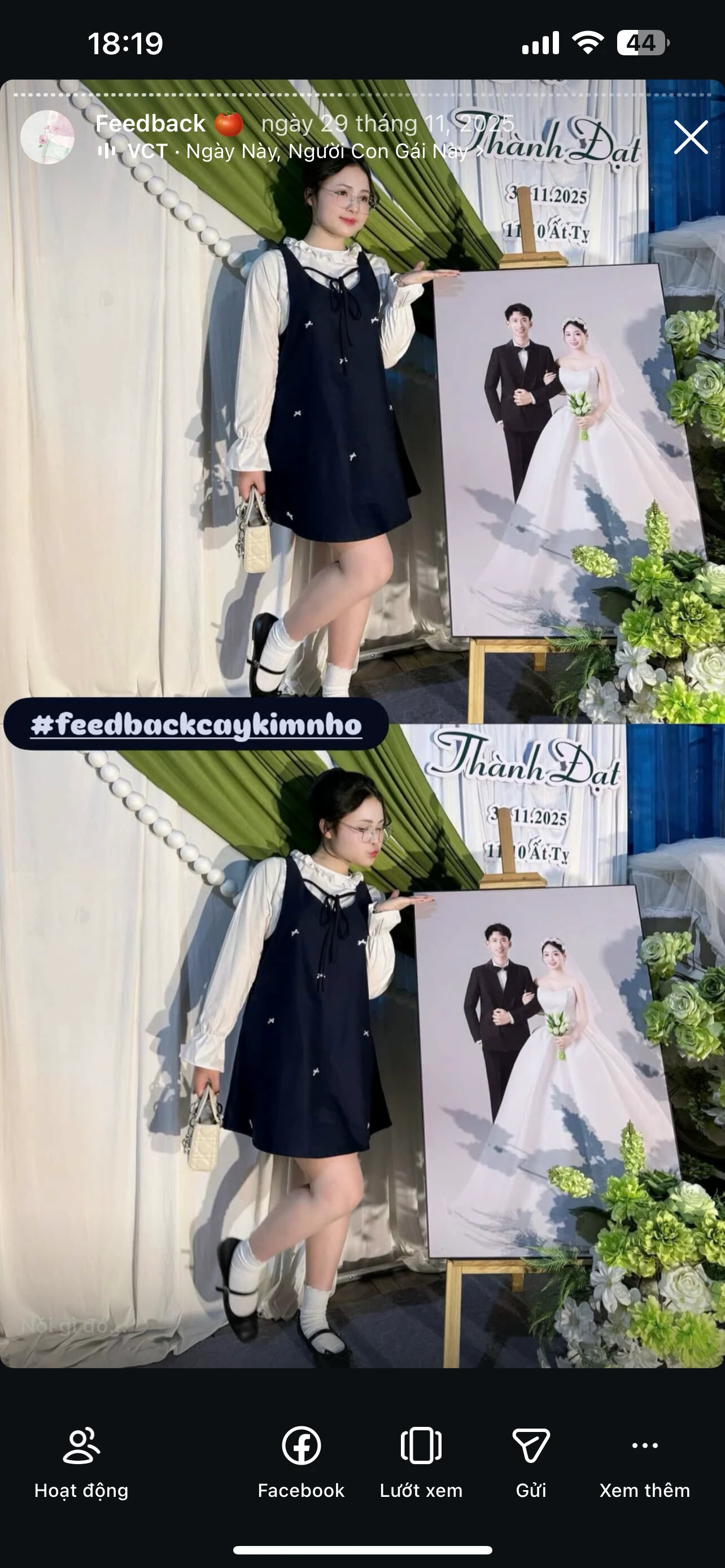 Feedback Cây Kim Nhỏ