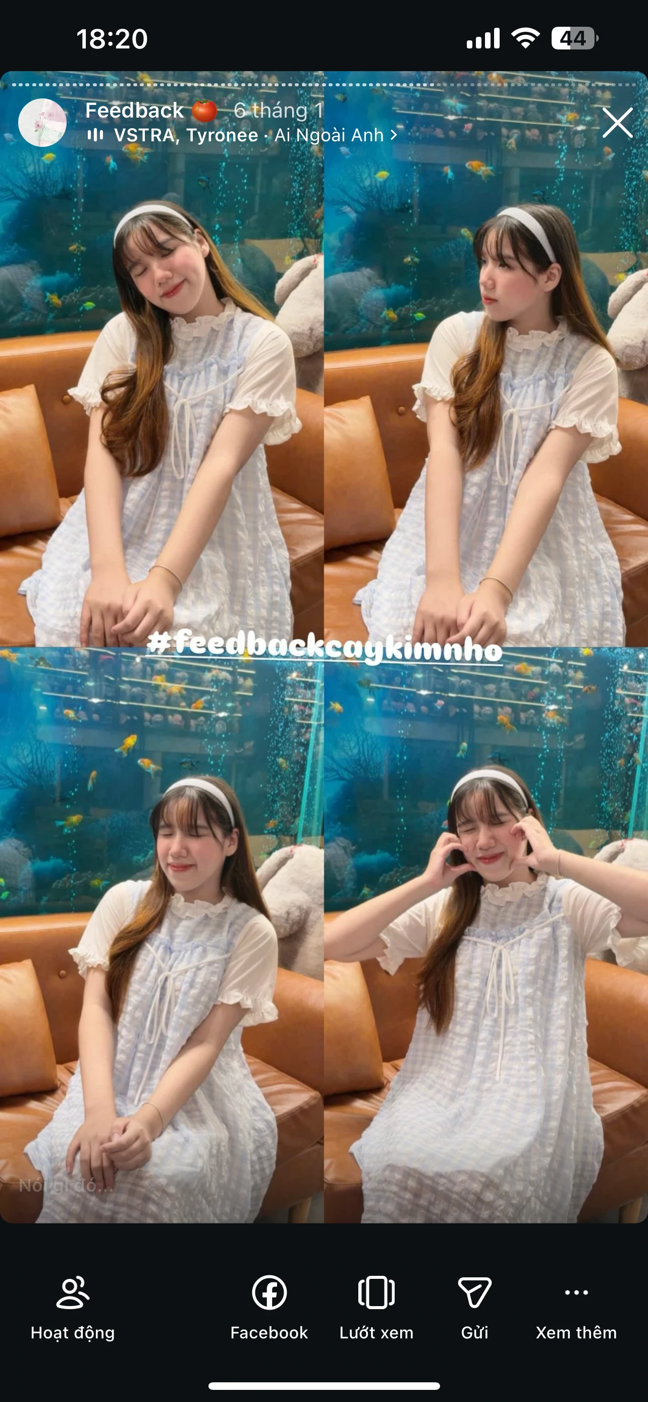 Feedback Cây Kim Nhỏ