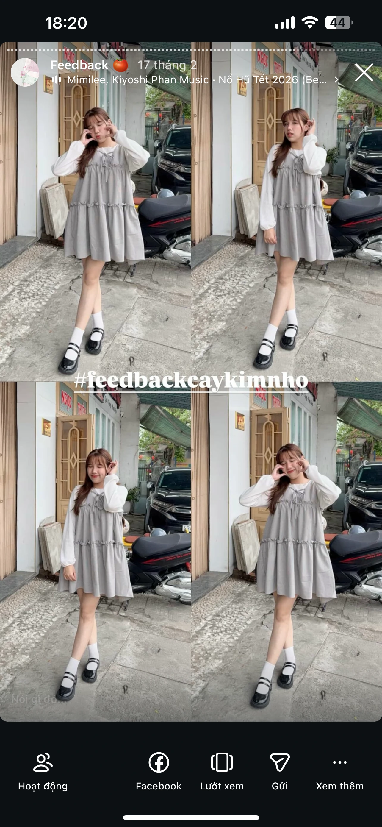 Feedback Cây Kim Nhỏ