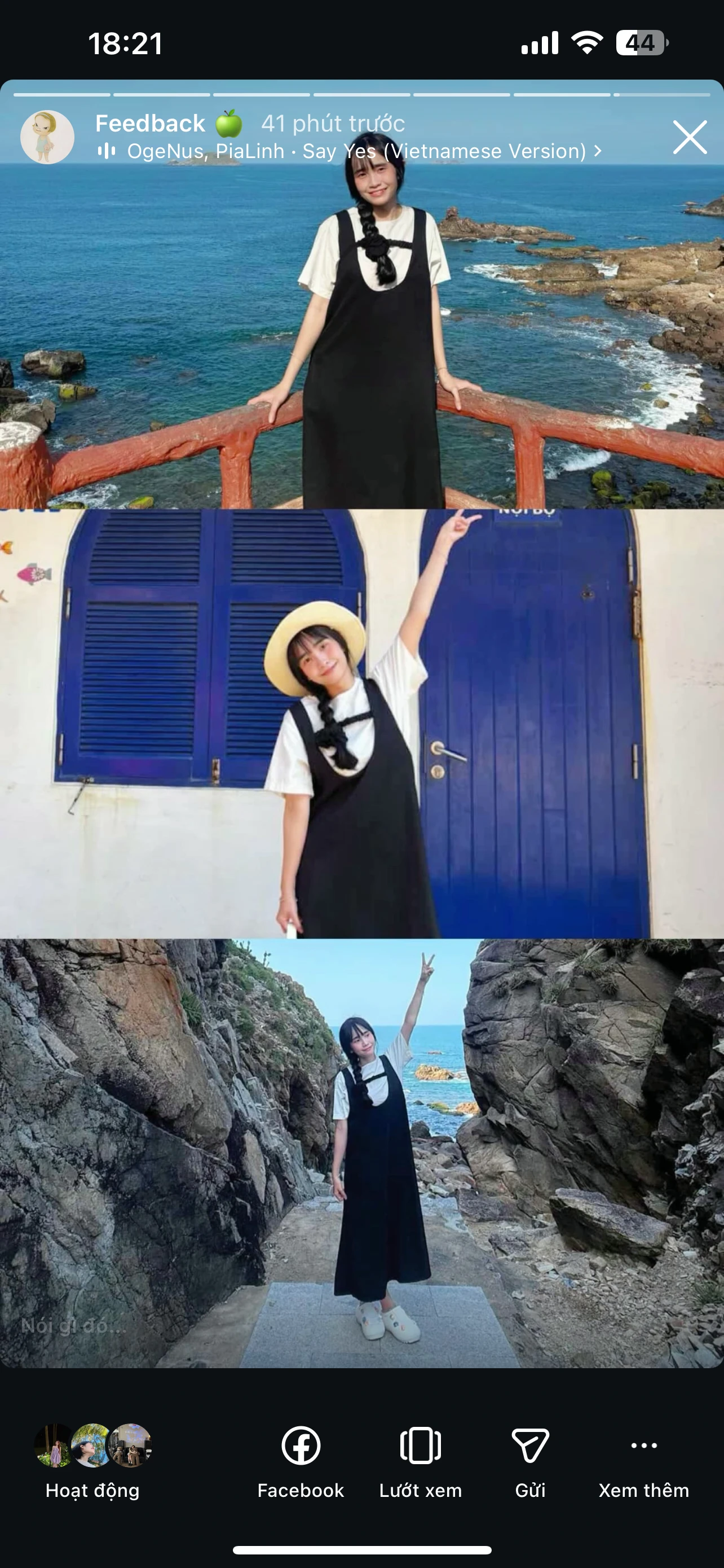 Feedback Cây Kim Nhỏ