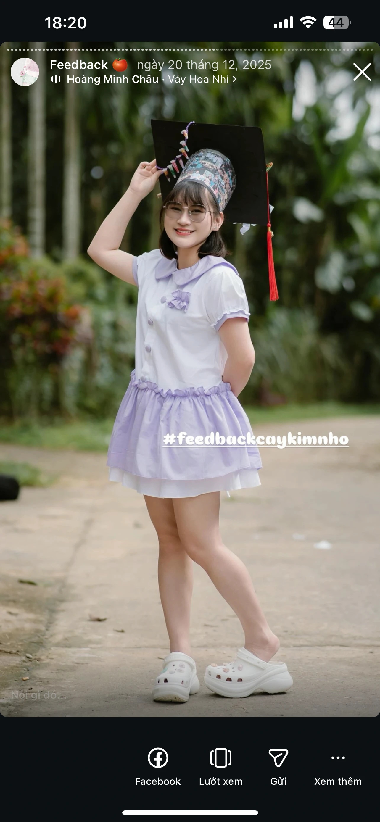 Feedback Cây Kim Nhỏ