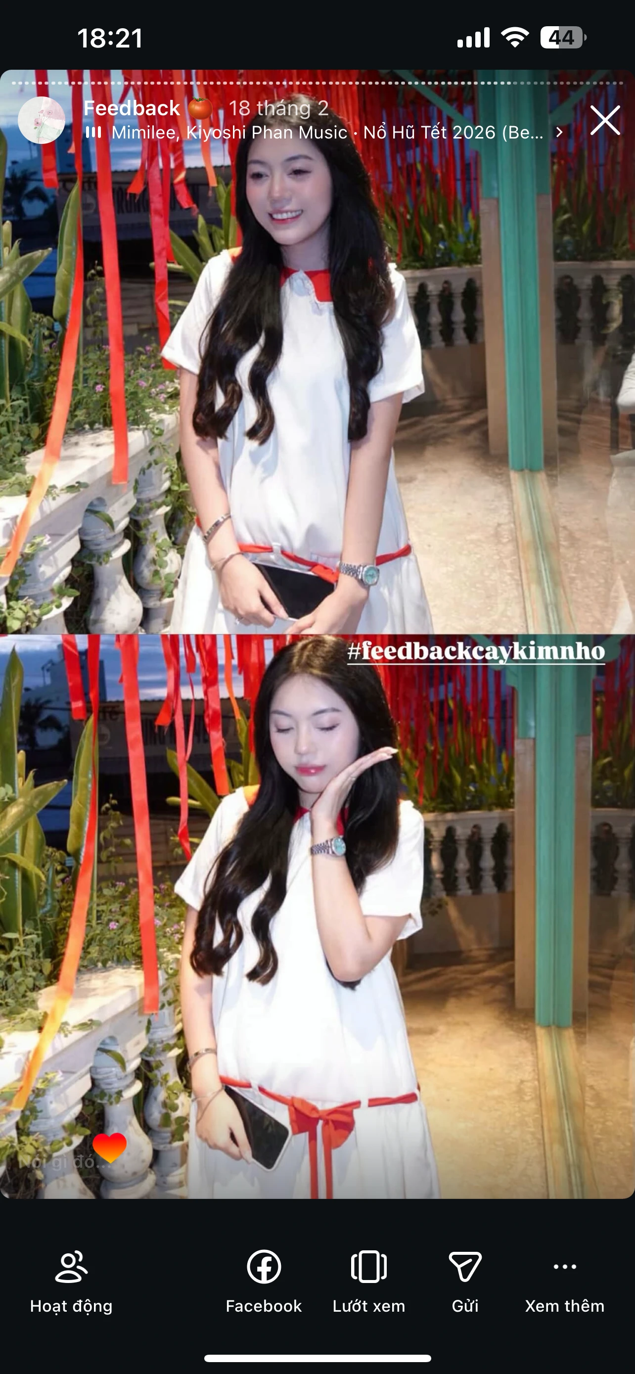 Feedback Cây Kim Nhỏ