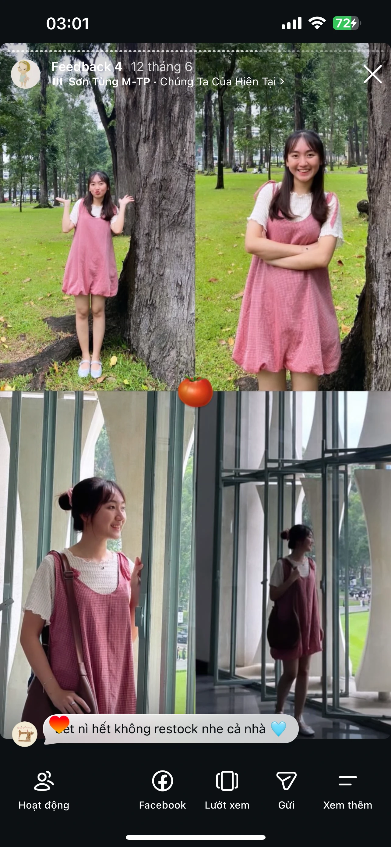 Feedback Cây Kim Nhỏ