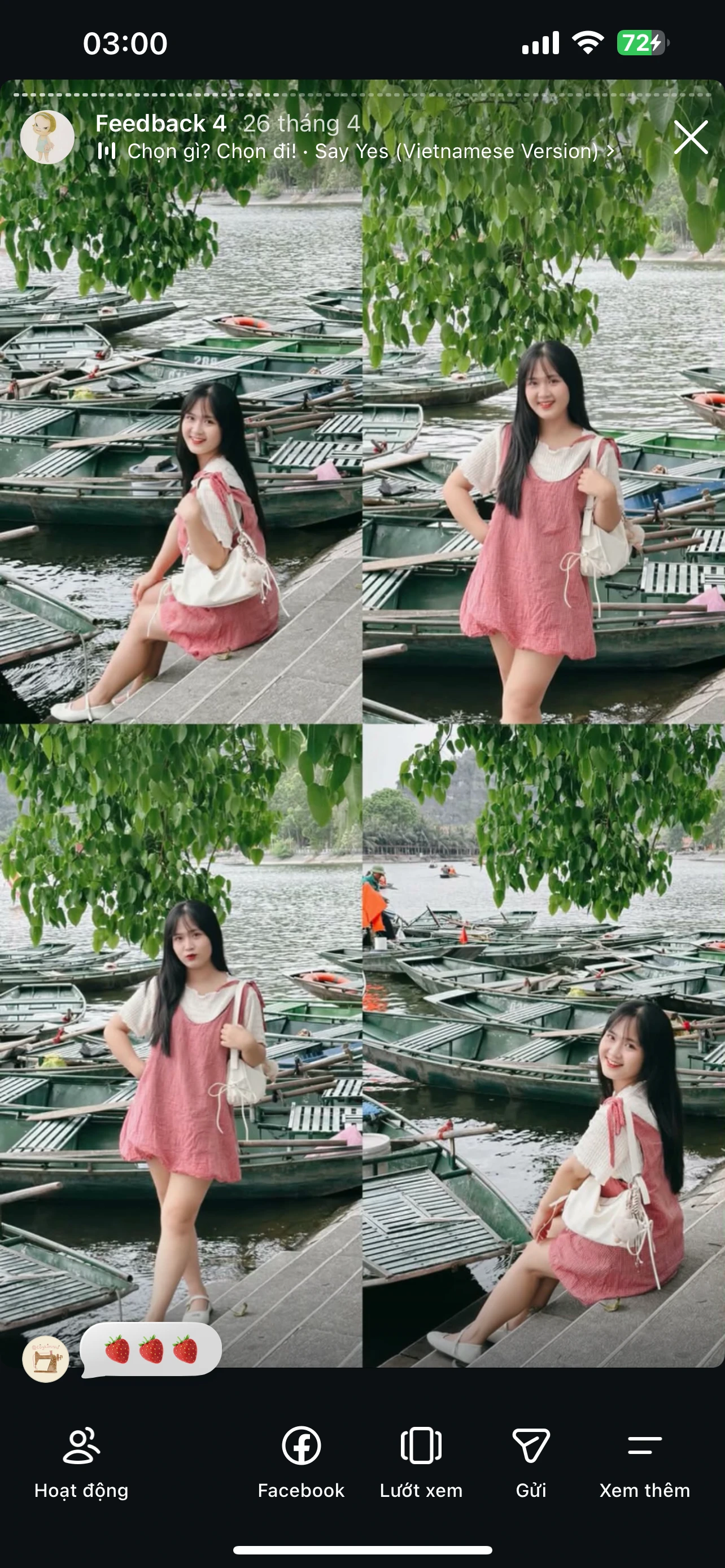 Feedback Cây Kim Nhỏ