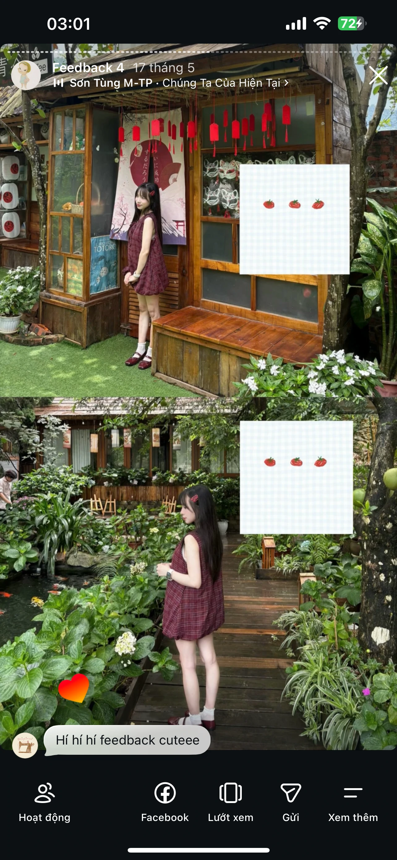 Feedback Cây Kim Nhỏ